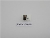 藏品(金龜子科)的圖片